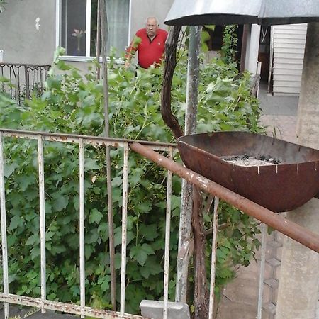 Guesthouse Valeria Borjomi Ngoại thất bức ảnh