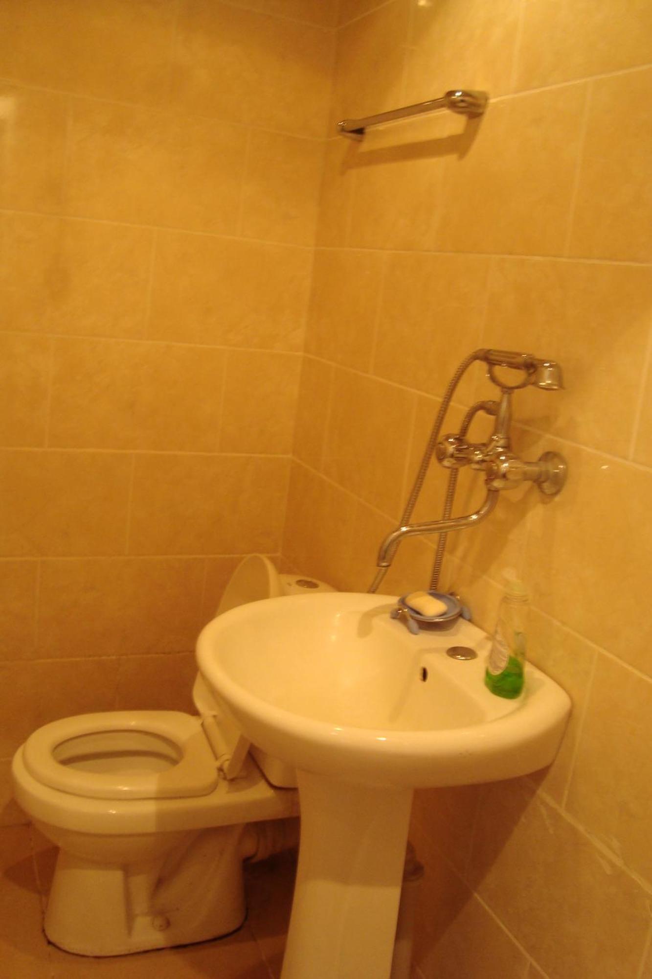 Guesthouse Valeria Borjomi Ngoại thất bức ảnh