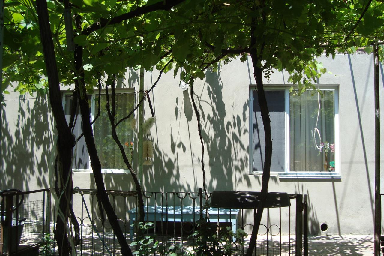Guesthouse Valeria Borjomi Ngoại thất bức ảnh