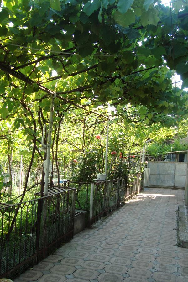 Guesthouse Valeria Borjomi Ngoại thất bức ảnh