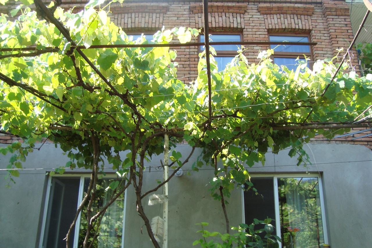 Guesthouse Valeria Borjomi Ngoại thất bức ảnh
