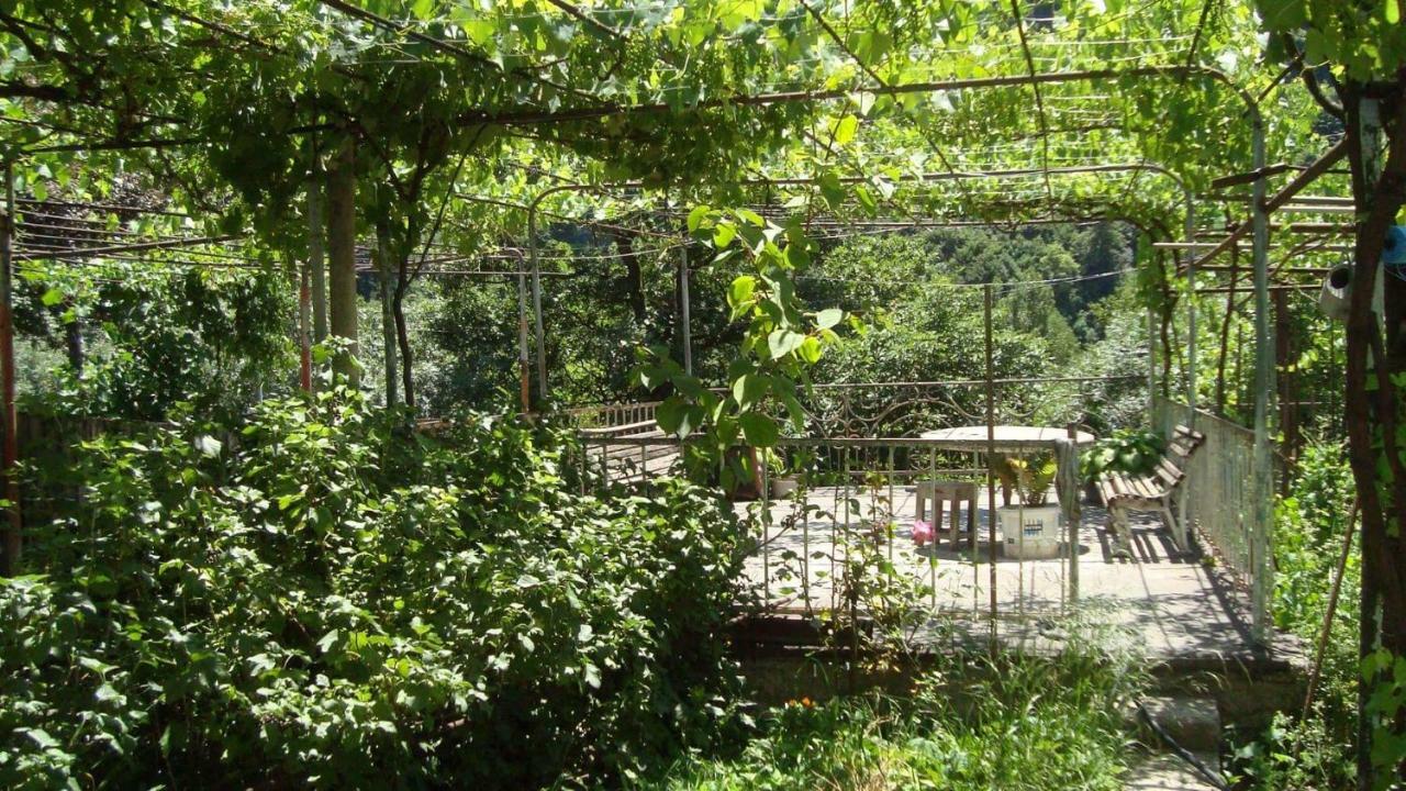 Guesthouse Valeria Borjomi Ngoại thất bức ảnh
